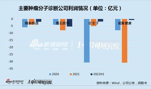 臻和科技IPO之路 三年虧損、同質化競爭與高企銷售費用下的生存挑戰